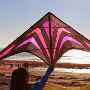 箏有你的進口風箏 droledoiseau